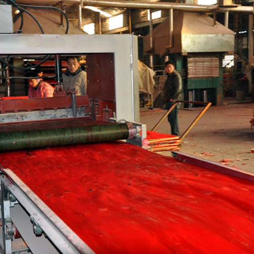 Plywood paving line for film faced plywood