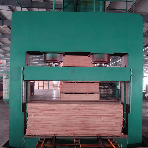 Cold press machine