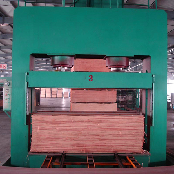 PLYWOOD COLD PRESS/PRE-PRESS MACHINE