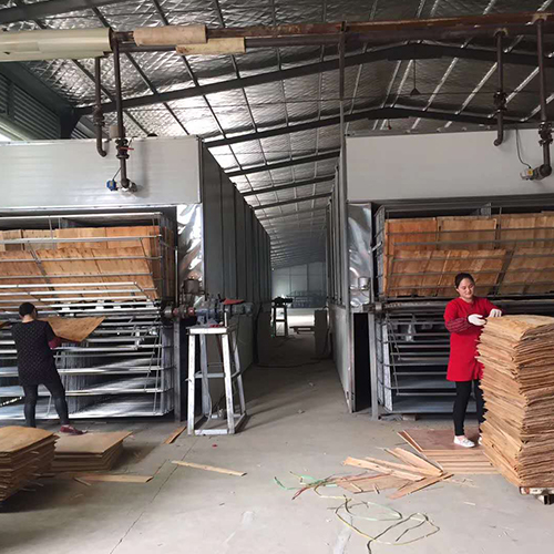 Hot Wind Veneer dryer