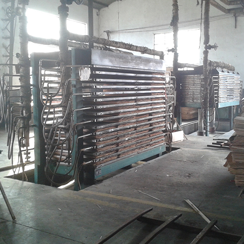 Hot press veneer dryer