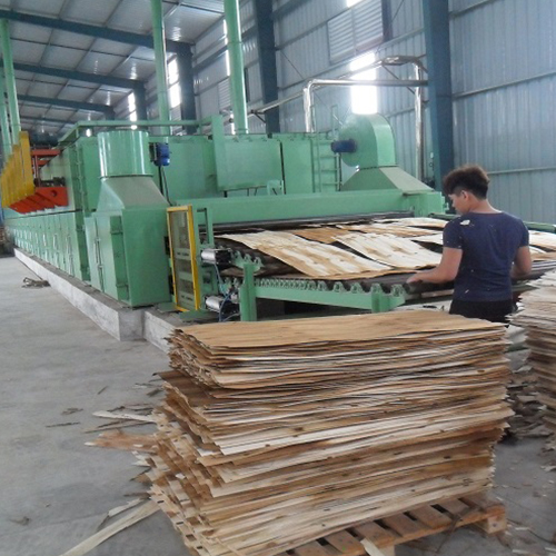 Double Decks Roller Conveyor Dryer