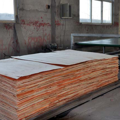 Plywood paving line working